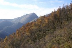 Alberi (12), Alpi_Apuane (374), Alpinismo (498), Gr_Croce_Nona (107), Monte Croce (80)